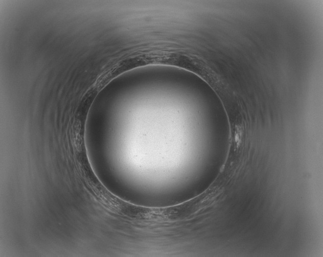 X0000078240867200611101033