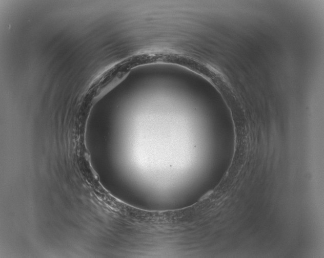 X0000078240872200611101033