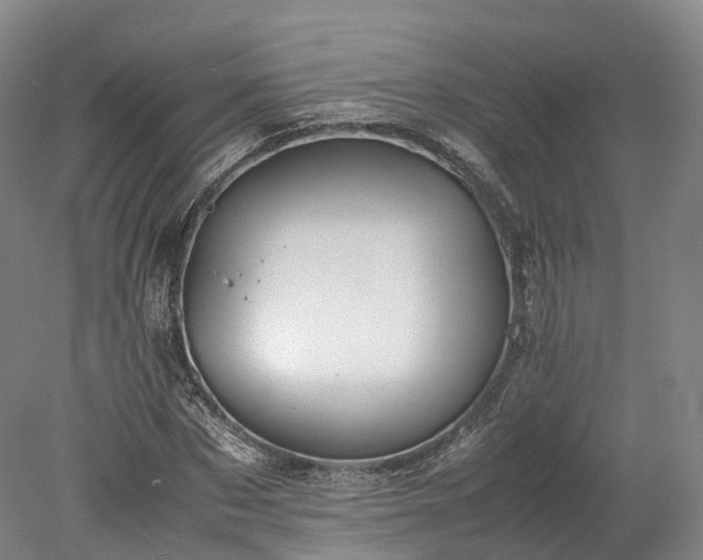 X0000078240873200611101033