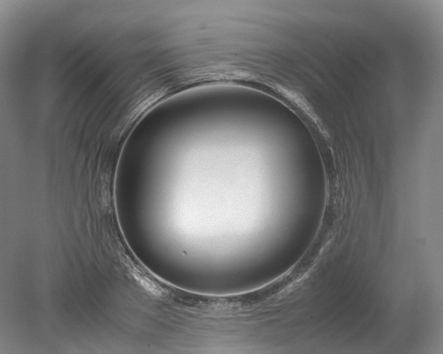X0000078240889200611101032