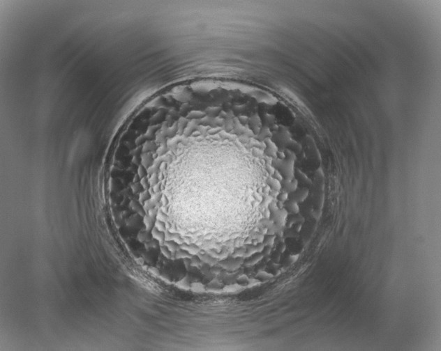 X0000078240891200611101032