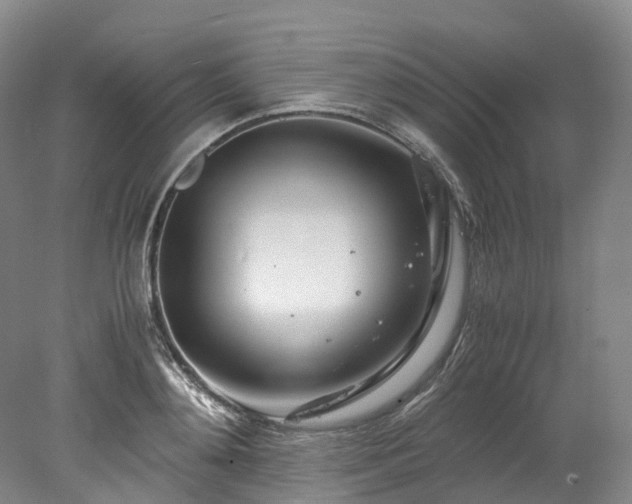 X0000078240892200611101032