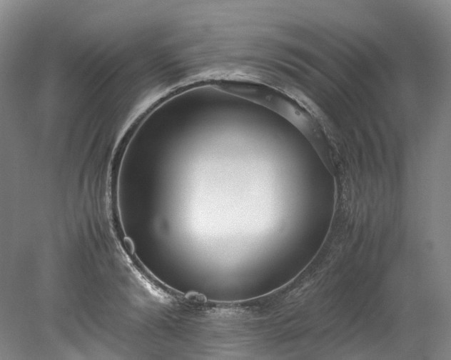 X0000078240894200611101032