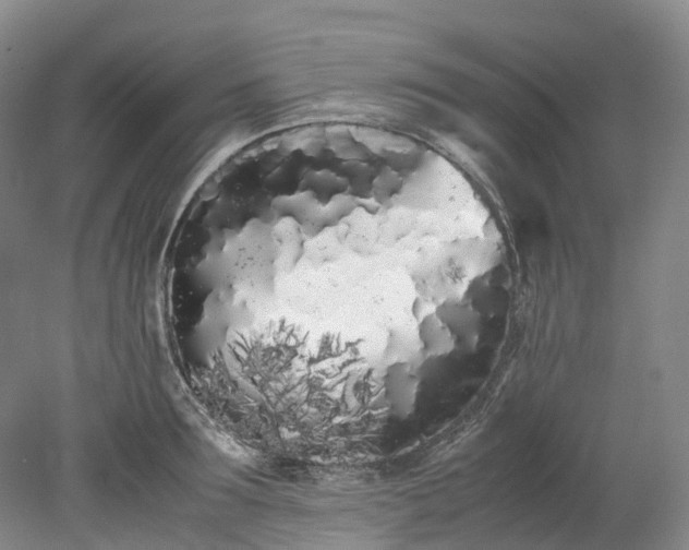 X0000078240899200611101032