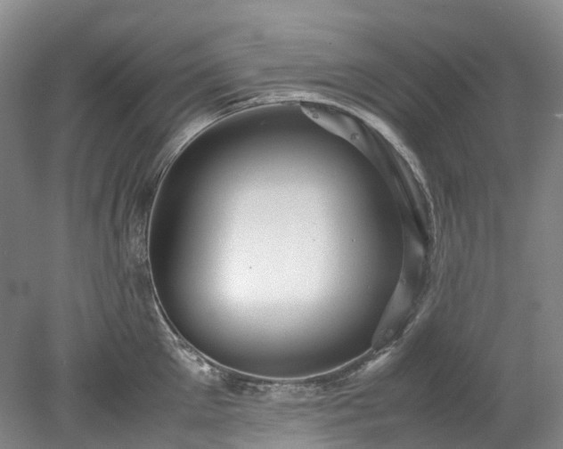X0000078240905200611101032