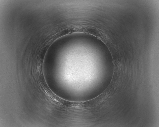 X0000078240914200611101031