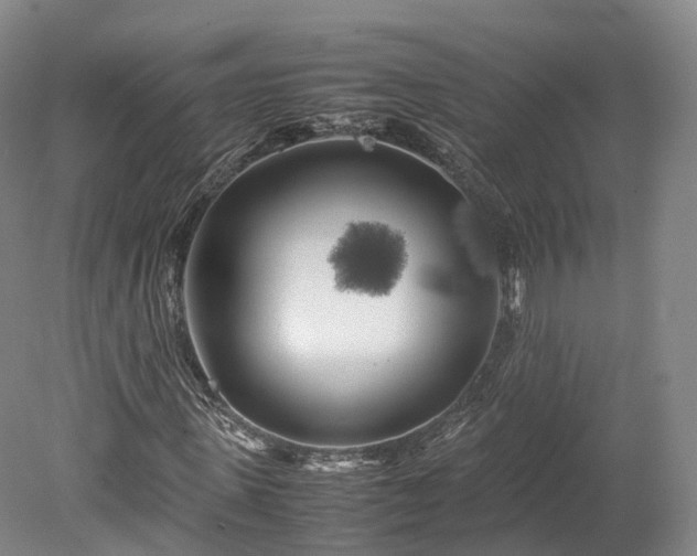 X0000078240915200611101031