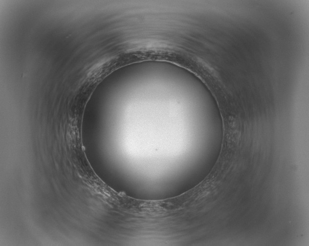 X0000078240918200611101031