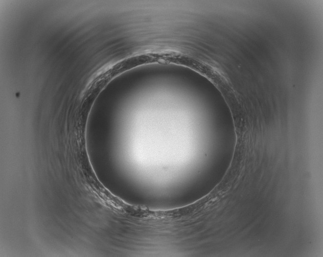 X0000078240920200611101031