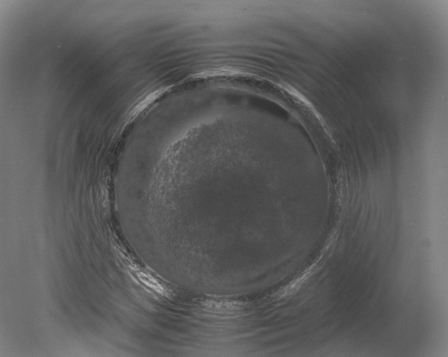 X0000078240921200611101031