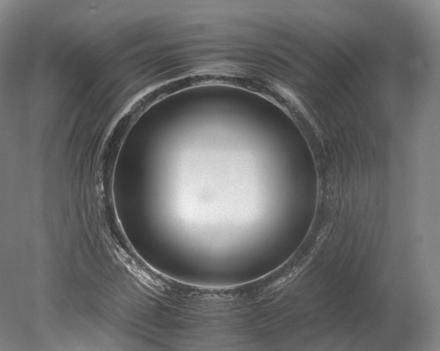 X0000078240923200611101031