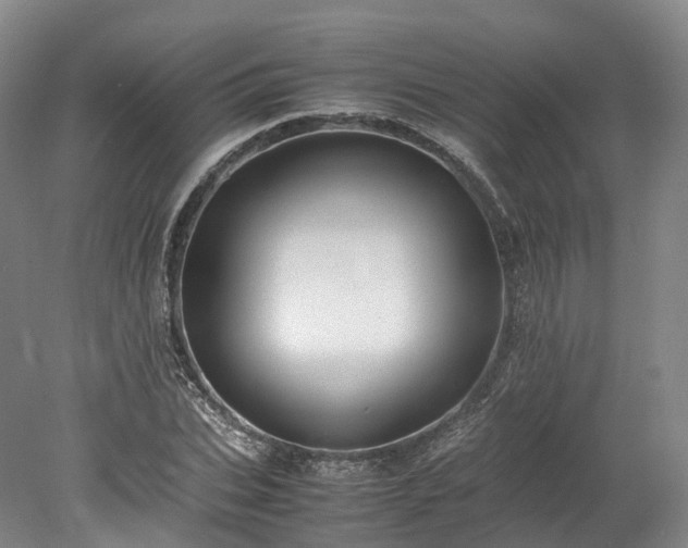 X0000078240927200611101031