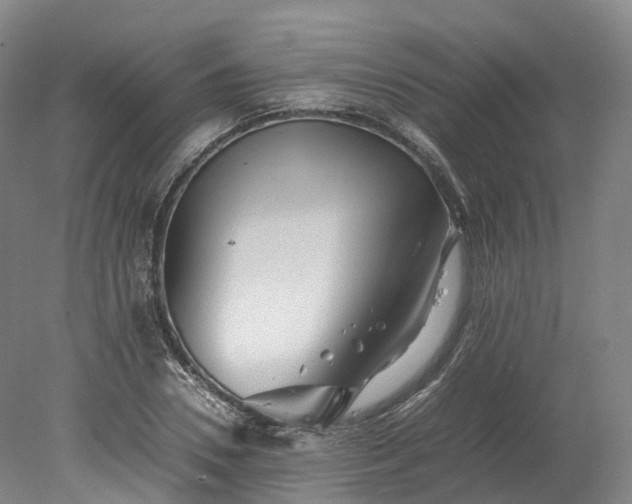 X0000078240930200611101031