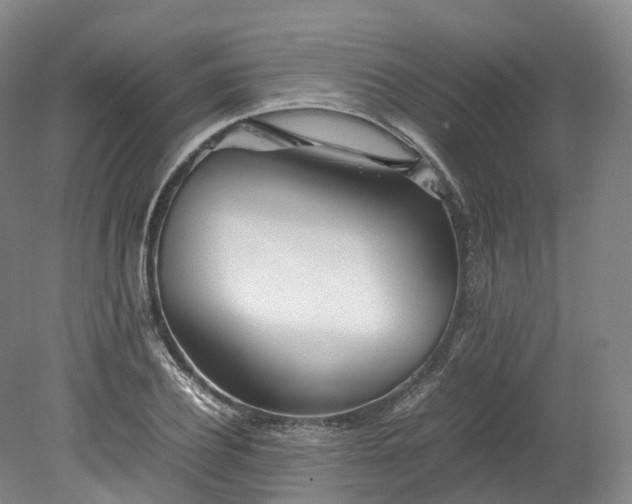 X0000078240932200611101031