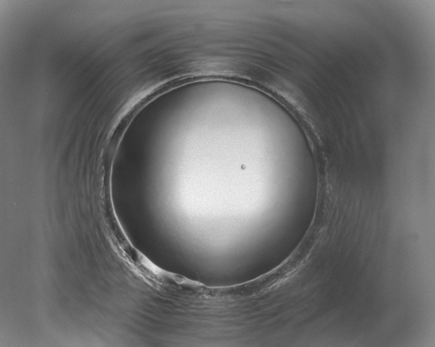 X0000078240933200611101031