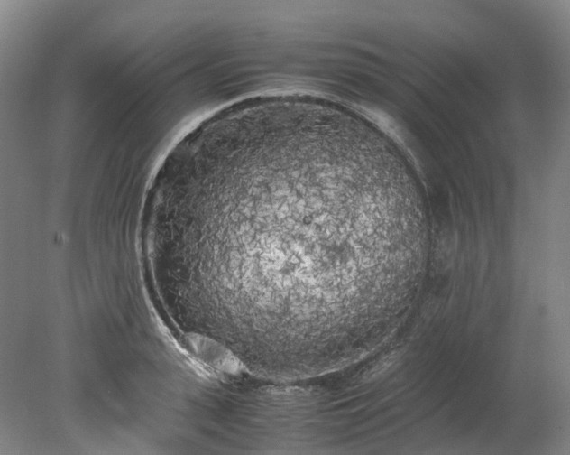 X0000078240943200611101032