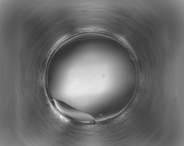 X0000078240946200611101032