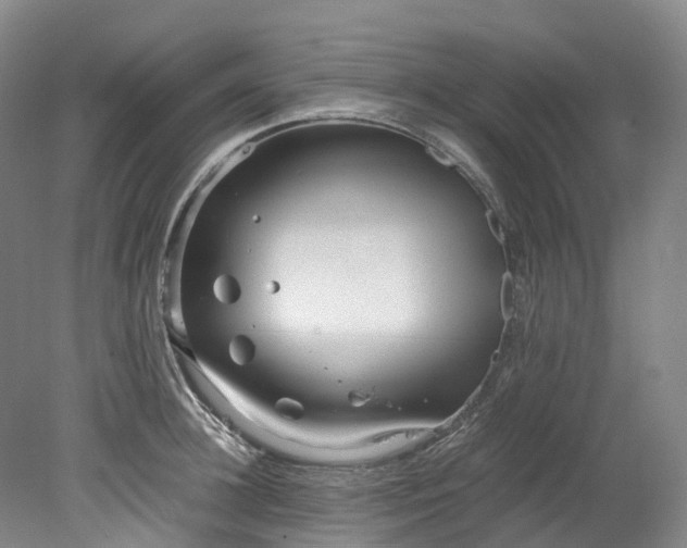 X0000078240948200611101032