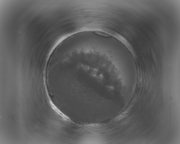 X0000078240958200611101032