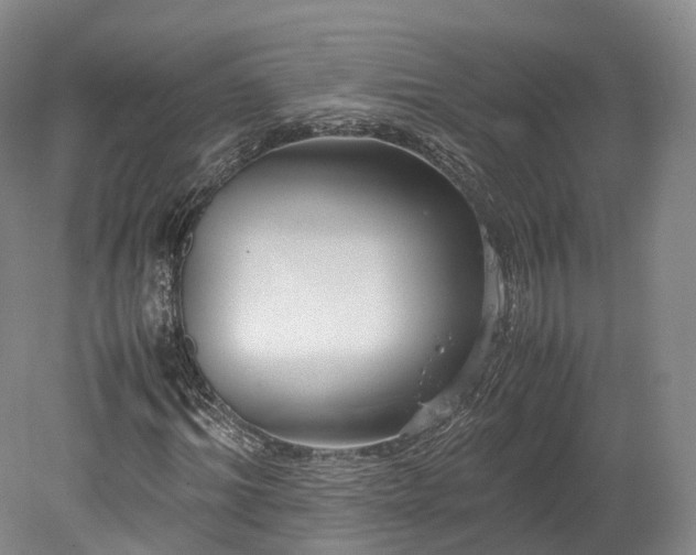 X0000078240964200611101031
