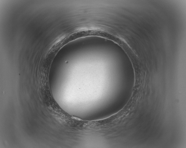X0000078240967200611101031