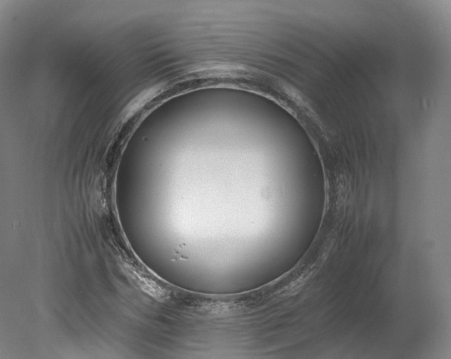 X0000078240970200611101031