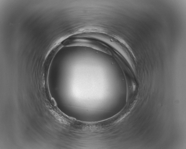 X0000078240973200611101031