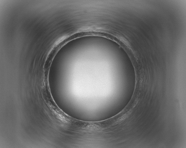 X0000078240974200611101031