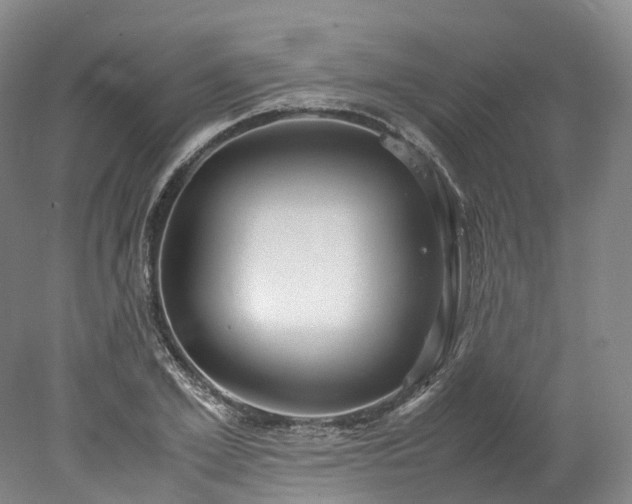 X0000078240981200611101031