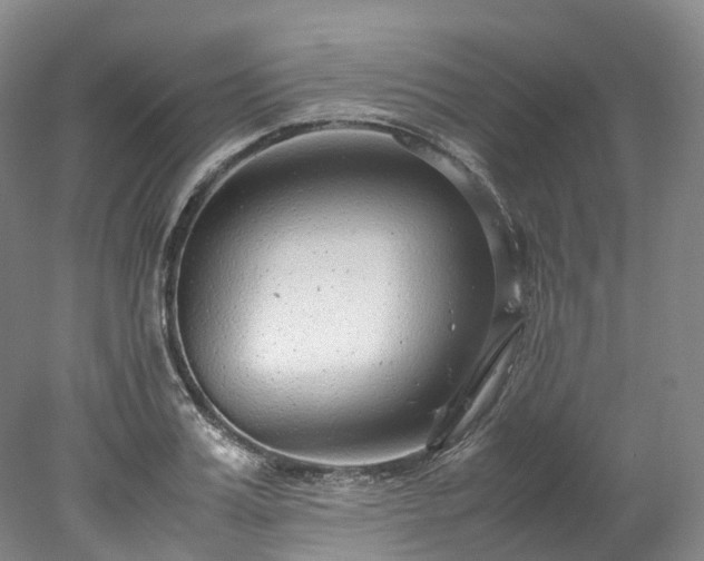 X0000078240987200611101031