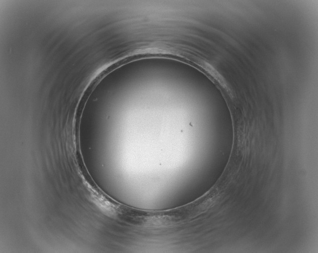 X0000078240988200611101031