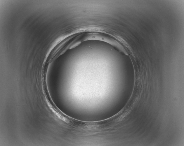 X0000078240989200611101031