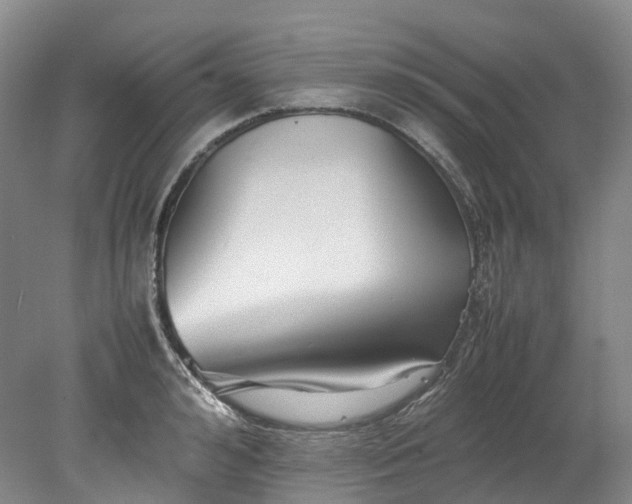 X0000078240992200611101031