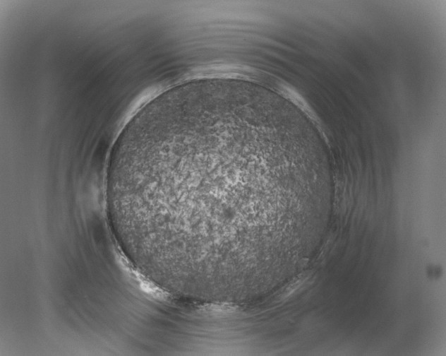 X0000078240994200611101031