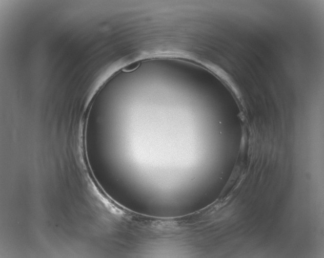 X0000078241006200611101030