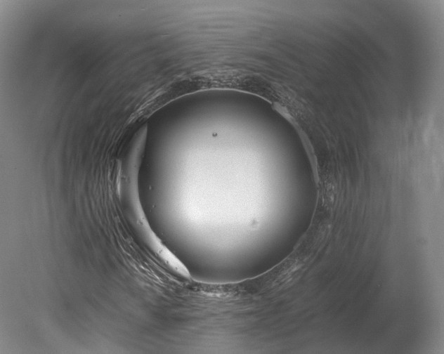 X0000078241010200611101030