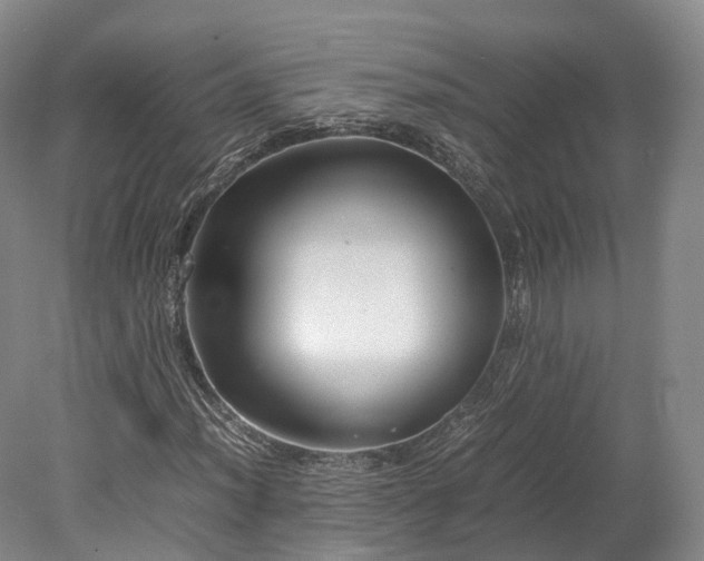 X0000078241012200611101030