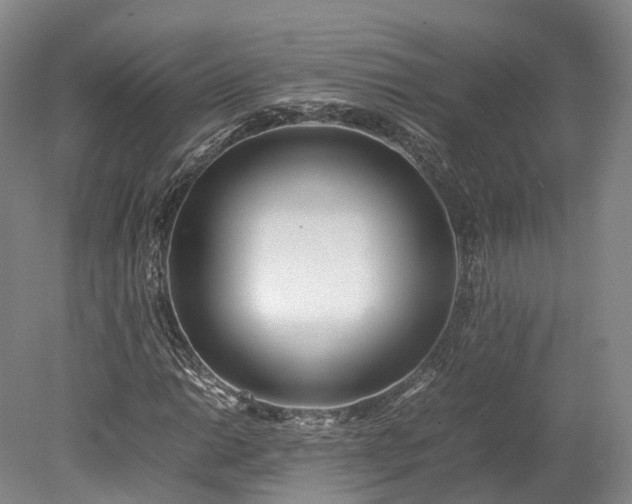 X0000078241014200611101030