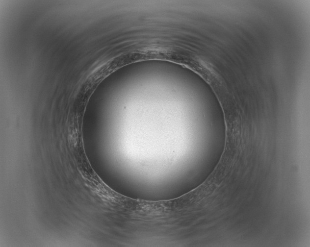 X0000078241015200611101030