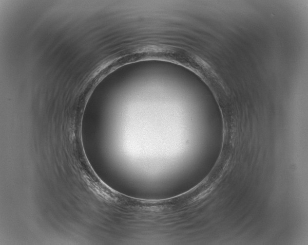 X0000078241017200611101030