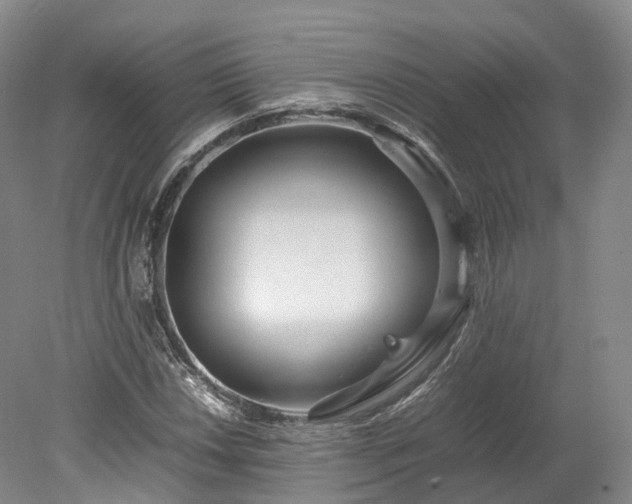 X0000078241018200611101030