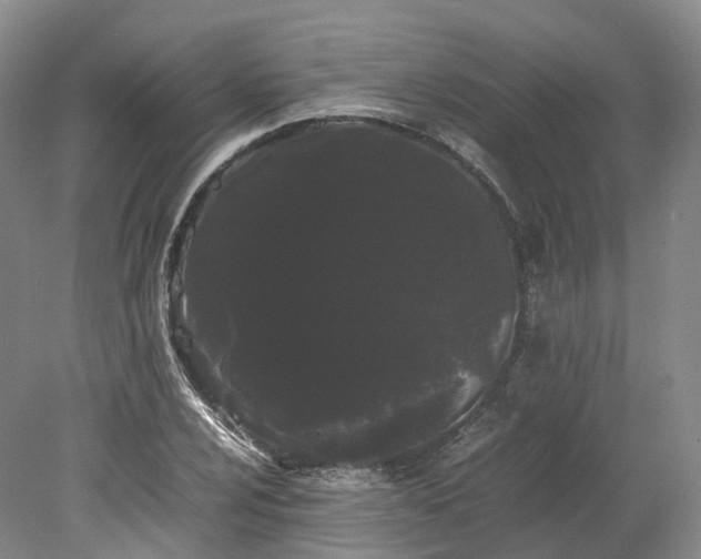 X0000078241024200611101030
