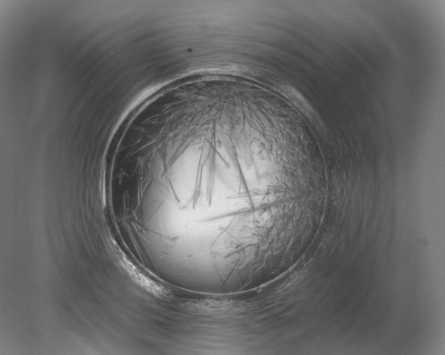 X0000078241036200611101030