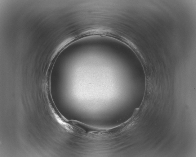 X0000078241042200611101030