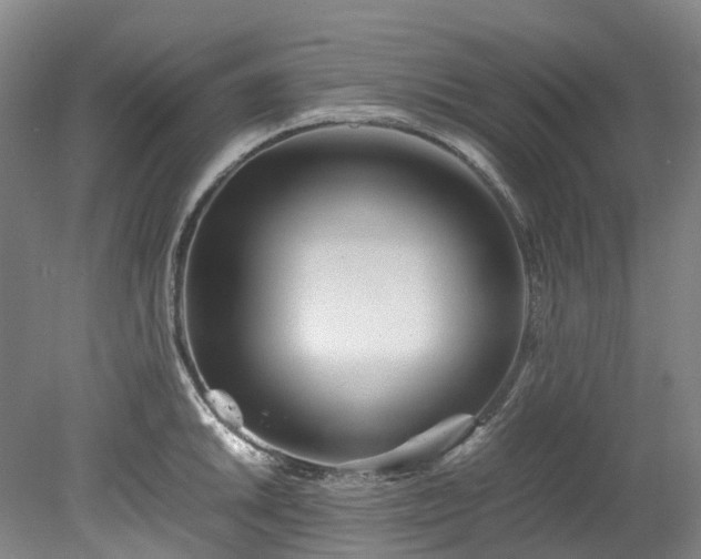 X0000078241046200611101030