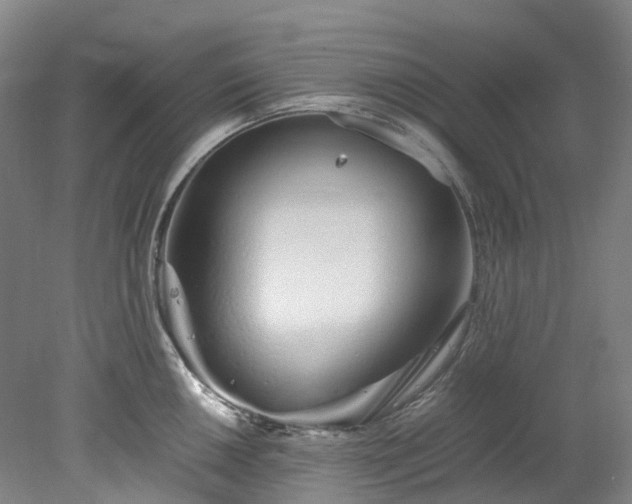 X0000078241050200611101030