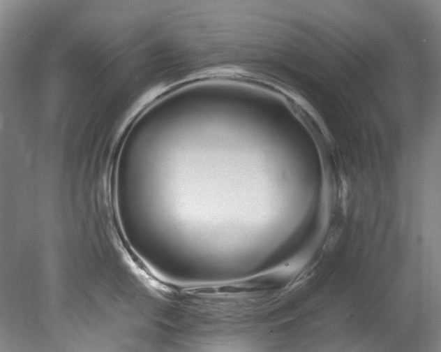 X0000078241054200611101030