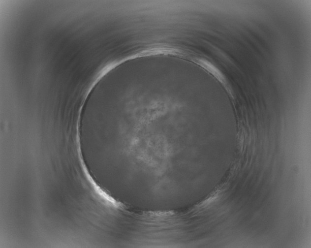 X0000078241055200611101030