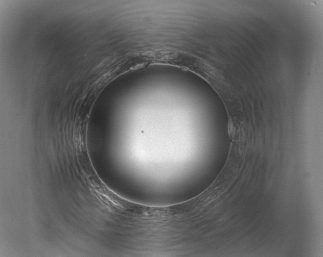 X0000078241058200611101029