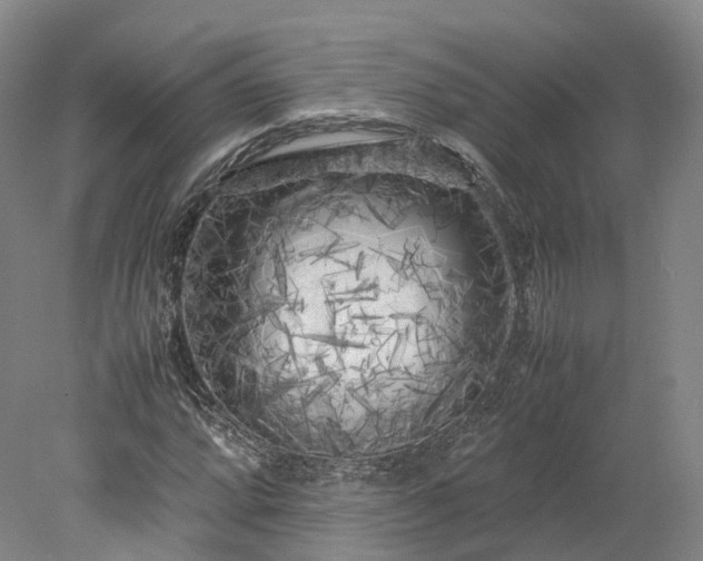 X0000078241064200611101029